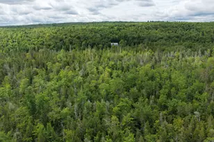 132 Rainy Rd, Prentiss, ME 04487 - Photo 6