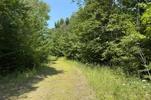 132 Rainy Rd, Prentiss, ME 04487 - Photo 22