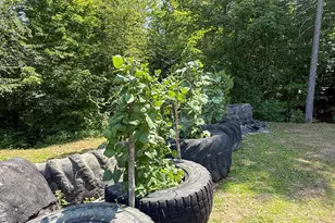 132 Rainy Rd, Prentiss, ME 04487 - Photo 8