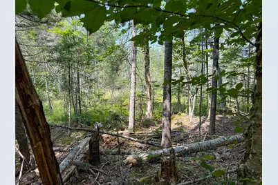 132 Rainy Road, Prentiss, ME 04487 - Photo 28