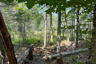 132 Rainy Rd, Prentiss, ME 04487 - Photo 28