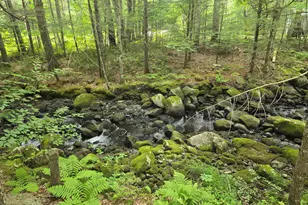 154 W Paris Rd, Greenwood, ME 04255 - Photo 6