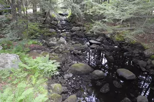 154 W Paris Rd, Greenwood, ME 04255 - Photo 20