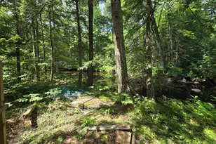 154 W Paris Rd, Greenwood, ME 04255 - Photo 36