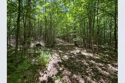 Lot 83 &84 Off Jesse Ladd Road, Vienna, ME 04360 - Photo 10