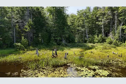 Lot 83 &84 Off Jesse Ladd Road, Vienna, ME 04360 - Photo 18