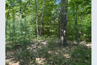 Lot 5 Park St. (Route 133), Livermore Falls, ME 04254 - Photo 14