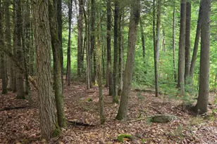 250 Smithfield Rd, Belgrade, ME 04917 - Photo 32
