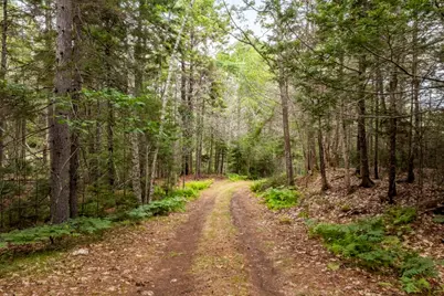 18 Birches Drive, Boothbay, ME 04537 - Photo 6
