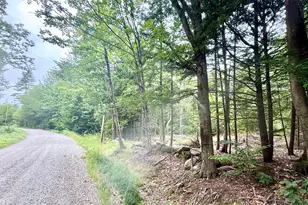 M5 L15-A Tibbetts Rd, Mercer, ME 04957 - Photo 1