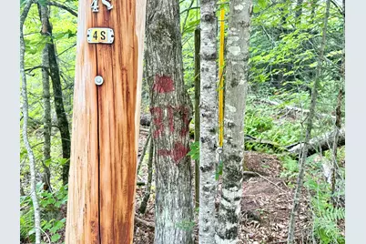 M5 L15-A Tibbetts Road, Mercer, ME 04957 - Photo 6