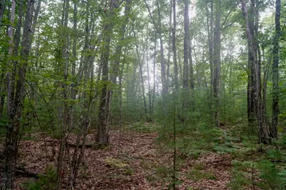 Tbd Moose Rocks Road, Kennebunkport, ME 04046 - Photo 10