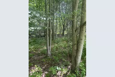 67 Pike Road, Livermore, ME 04253 - Photo 12