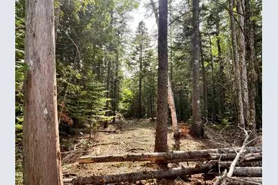 Lot 51 Us-1, Perry, ME 04667 - Photo 32