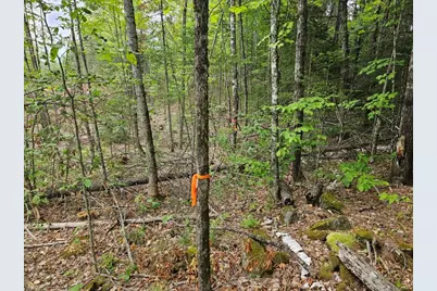 22-03 Rowell Mountain Road, Solon, ME 04979 - Photo 26