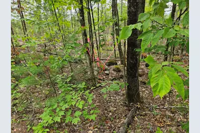 22-03 Rowell Mountain Road, Solon, ME 04979 - Photo 24