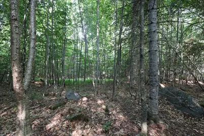 M25 Lot 28 N Green Street, Greenville, ME 04441 - Photo 6