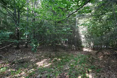 M25 Lot 28 N Green Street, Greenville, ME 04441 - Photo 4