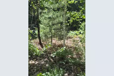 M11 Lot 02 Joseph Way, Waterboro, ME 04030 - Photo 1