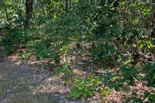 101 Blueberry Ln, Gray, ME 04039 - Photo 8