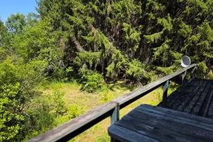 871 Estabrook Rd, Amity, ME 04471 - Photo 6