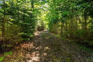 557 Paul Bunyan Rd, Gouldsboro, ME 04607 - Photo 32