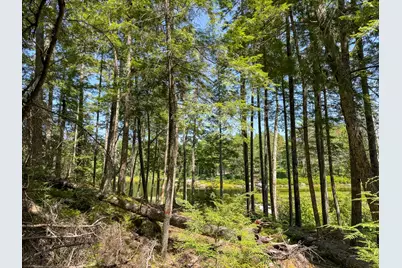 35 SW Brook Lane, Beddington, ME 04622 - Photo 4