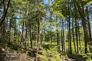 35 SW Brk Ln, Beddington, ME 04622 - Photo 4