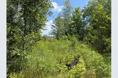385 Johnson Flat Road, Pittsfield, ME 04967 - Photo 12