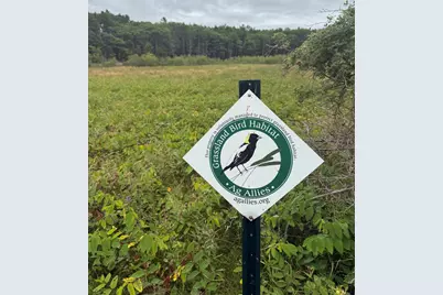 Lot #4 Rockweed Road, West Bath, ME 04530 - Photo 10