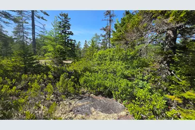 Map 1 Lot 10-2 Patten Rd, Jonesboro, ME 04648 - Photo 12