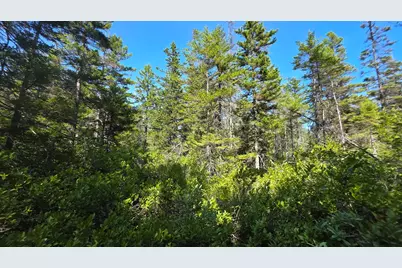 Map 1 Lot 10-2 Patten Rd, Jonesboro, ME 04648 - Photo 8