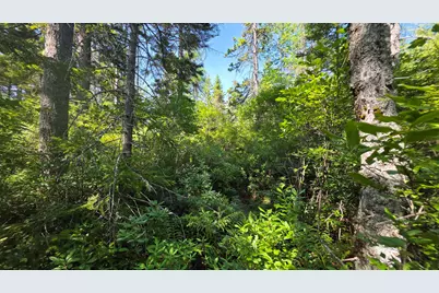 Map 1 Lot 10-2 Patten Rd, Jonesboro, ME 04648 - Photo 2