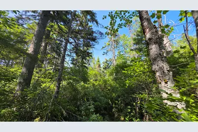 Map 1 Lot 10-2 Patten Rd, Jonesboro, ME 04648 - Photo 1