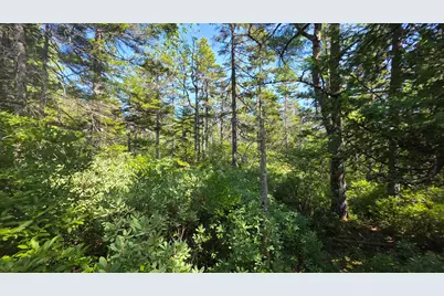 Map 1 Lot 10-2 Patten Rd, Jonesboro, ME 04648 - Photo 16