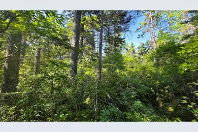 Map 1 Lot 10-2 Patten Rd, Jonesboro, ME 04648 - Photo 4