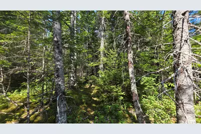 Map 1 Lot 10-2 Patten Rd, Jonesboro, ME 04648 - Photo 10