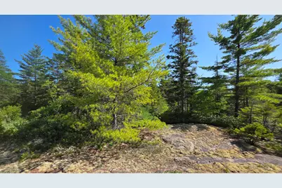 Map 1 Lot 10-2 Patten Rd, Jonesboro, ME 04648 - Photo 14