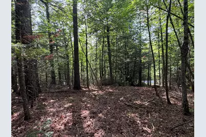 Lot 4,5,6 Holley Road, Farmington, ME 04938 - Photo 4