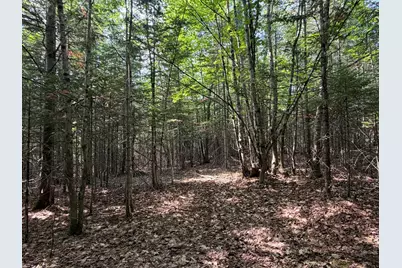 Lot 4,5,6 Holley Road, Farmington, ME 04938 - Photo 10