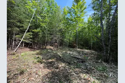 Lot 4,5,6 Holley Road, Farmington, ME 04938 - Photo 6