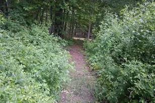 646 N Rd, Parsonsfield, ME 04047 - Photo 34