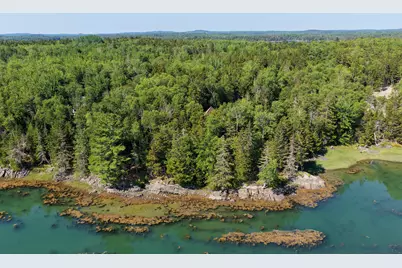 125 Coffins Neck Road, Whiting, ME 04691 - Photo 6