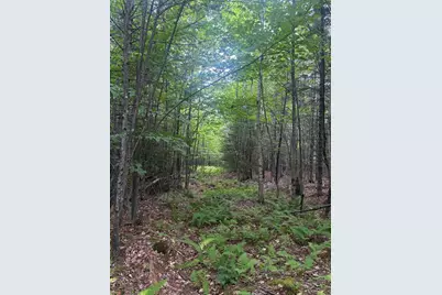 13 Crafts Road, Greenville, ME 04441 - Photo 4