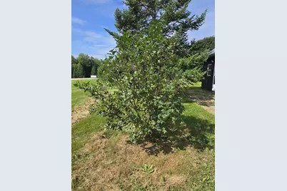 11 Hunton Loop, Livermore Falls, ME 04254 - Photo 30