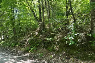M9L140-G Wiley Rd, Norway, ME 04268 - Photo 1