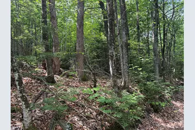 R3 L 2-2 Hampshire Hill Road, Mercer, ME 04957 - Photo 1