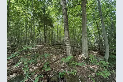 R3 L 2-2 Hampshire Hill Road, Mercer, ME 04957 - Photo 10