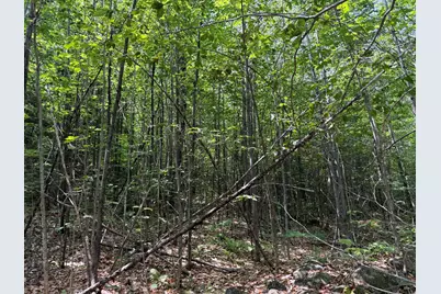 R3 L 2-2 Hampshire Hill Road, Mercer, ME 04957 - Photo 6