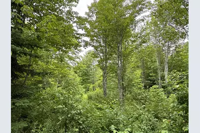 M3L11 Off Route 212, Merrill, ME 04780 - Photo 4
